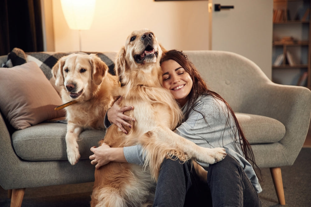 Fresh Homes, Happy Pets: Natural Ways to Banish Pet Odours