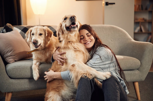 Fresh Homes, Happy Pets: Natural Ways to Banish Pet Odours